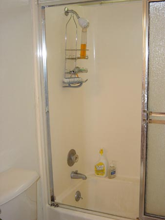 Shower before remodel.